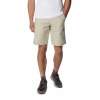 Spodenki męskie Columbia  WASHED OUT SHORT 10 - Fossil