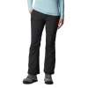 Spodnie damskie Columbia Roffe Ridge IV Pant Short - Shark