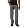 Spodnie trekkingowe męskie Columbia Silver Ridge Utility Convertible Pant - City Grey