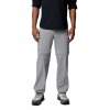 Spodnie turystyczne meskie Columbia Silver Ridge Elite Convertible Pant - Titanium